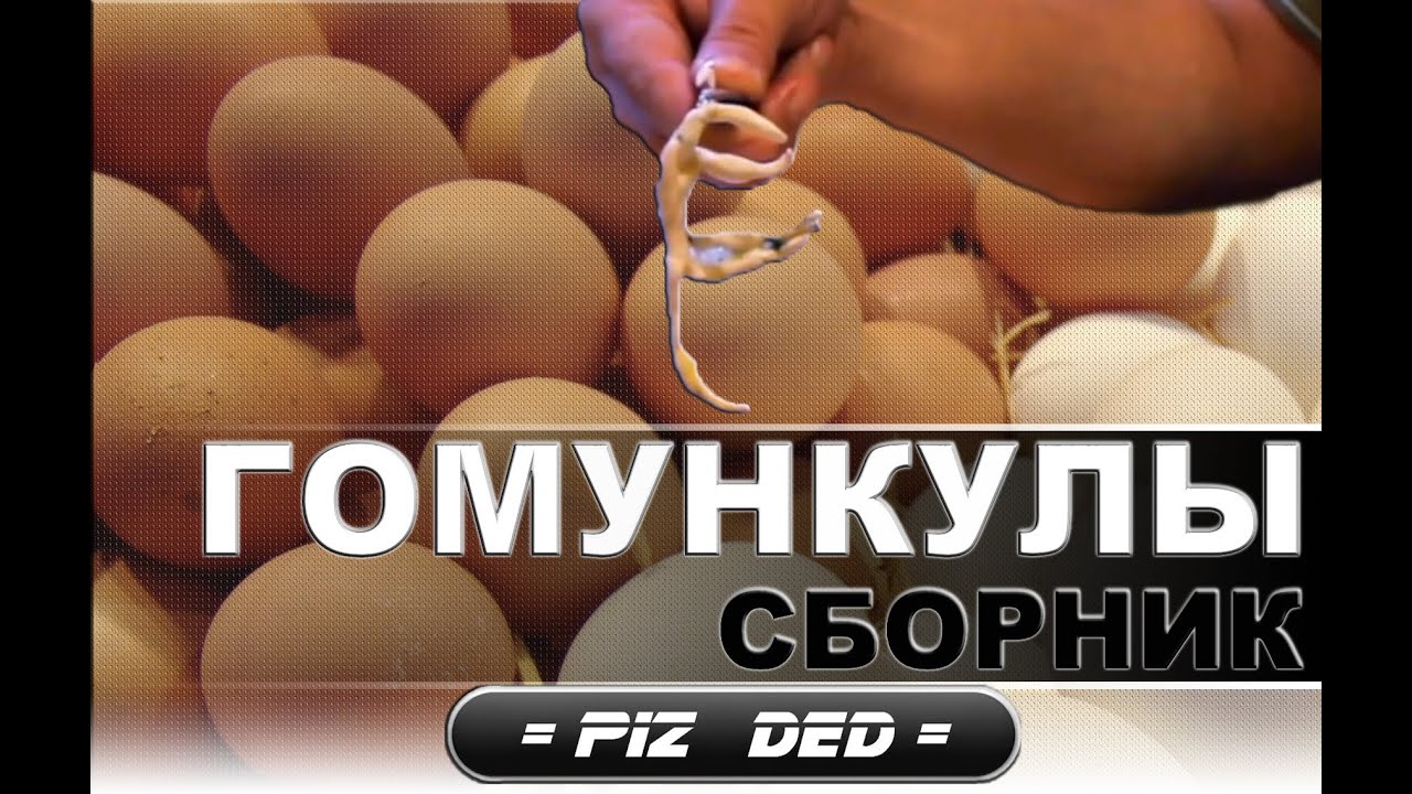 Моторный гомункулус это