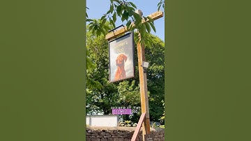 100% British Ketchup makes it to The Farmers Dog 🤘 #ketchup