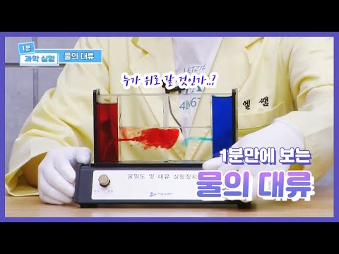 엘쌤's 1분 과학 실험 : 물의 대류