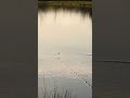🎣 KEEP BITES COMING THROUGH THE WINTER | Dot them down