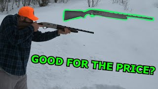 TriStar Raptor Semi-Auto SHOTGUN REVIEW!!!