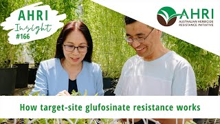 AHRI Insight 166 - How target-site glufosinate resistance works