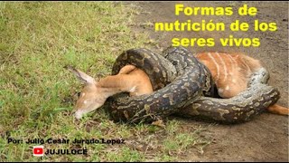 Formas de nutrición de los seres vivos