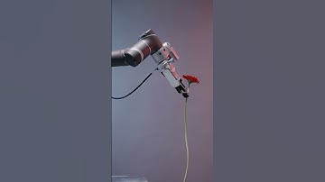 The Rise of AI in 60 Seconds