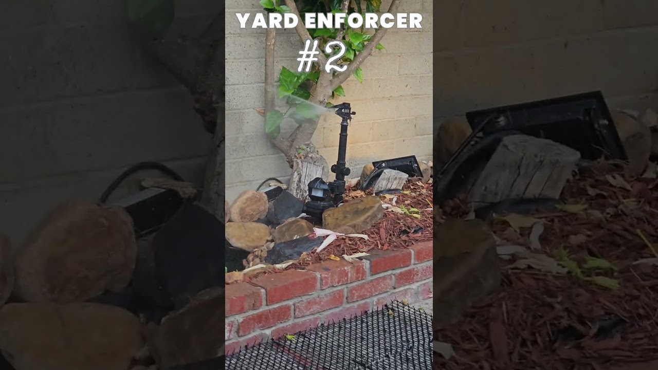 Koi Pond Security 101: Orbit Yard Enforcer 