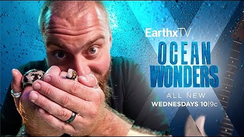 Ocean Wonders | Official Trailer | EarthX
