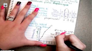 multiple representations proportions