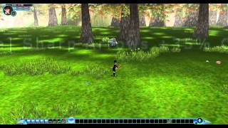 Ace FlyFF :: Advanced Skill Arrows
