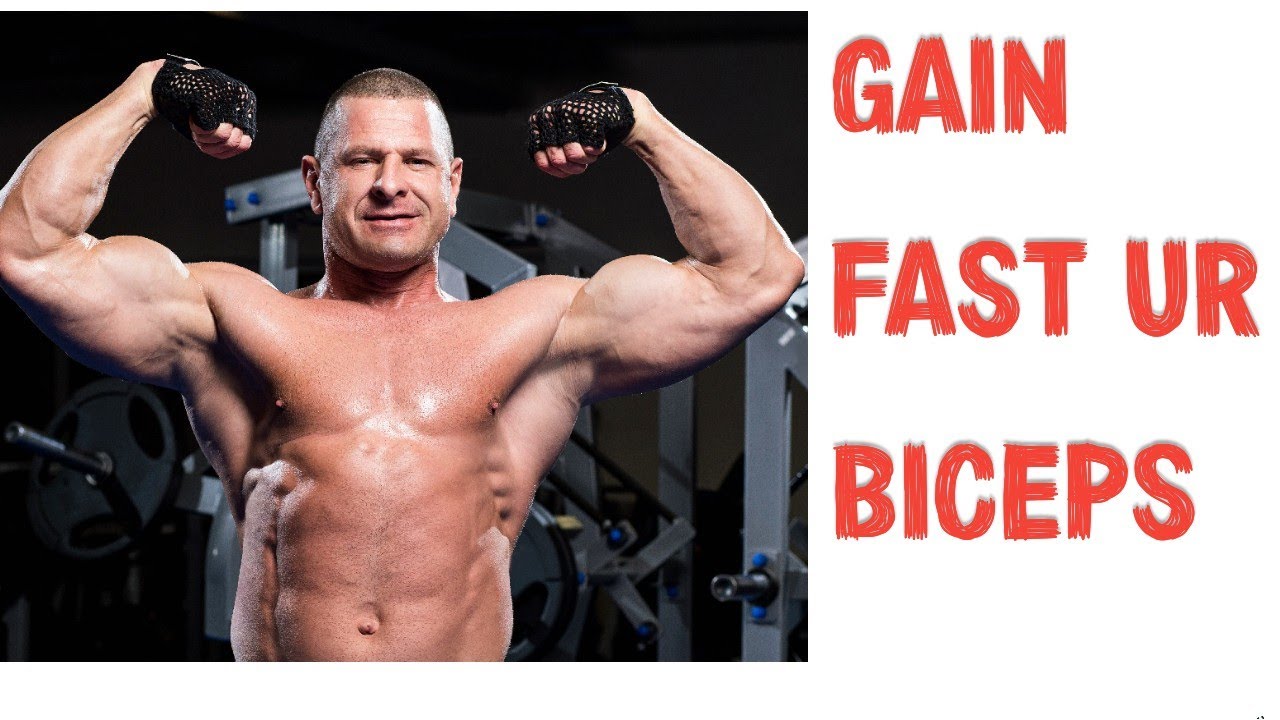 HOW TO GAIN MUSCLES || MUSCLES GAIN & BUILD WORKOUT - YouTube