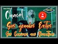 Chacal - Grandes Exitos 2h Lo mejor de Chacal - Sus canciones mas romanticos (Urban Latin Cubaton)