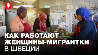 Как женщины-мигрантки готовят бизнес-ланчи в Швеции Как женщины-мигрантки готовят бизнес-ланчи в Швеции