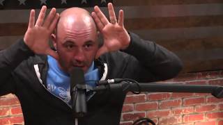 Celebrity Joe Rogan & Kevin Smith thoughts on the afterlife Profile