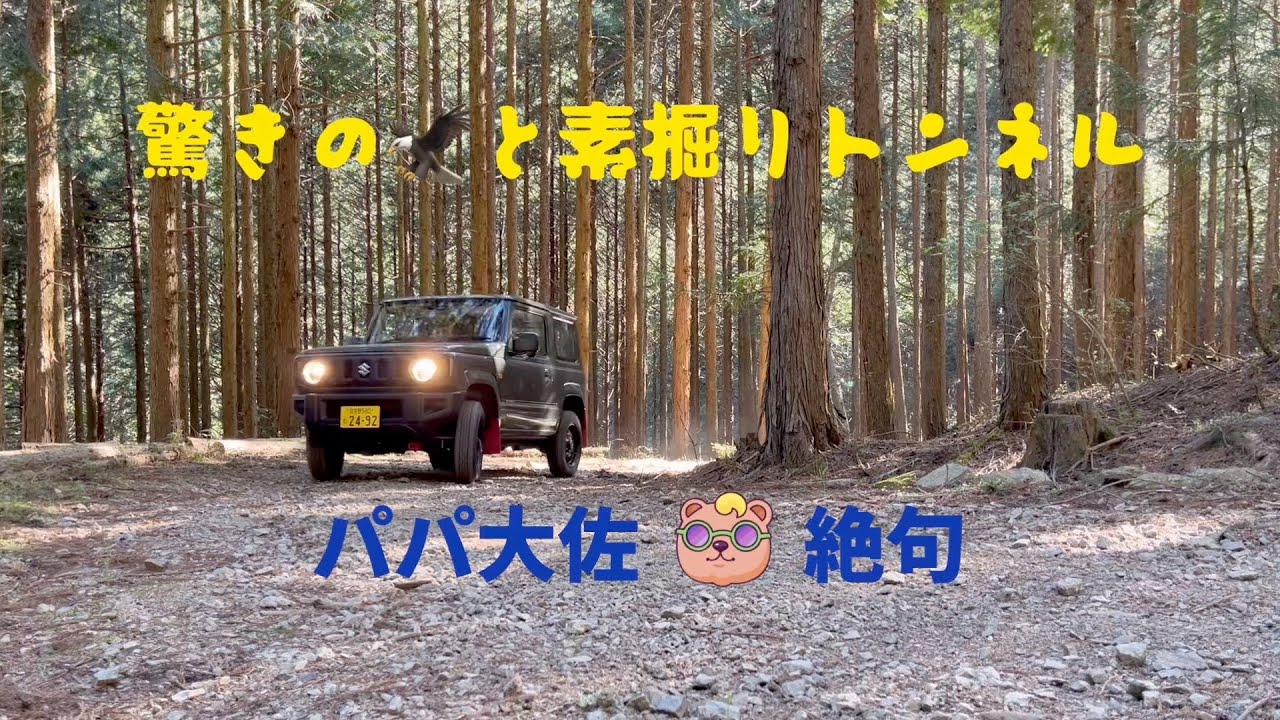 秘境のトンネルを進め【あれって鷲？鷹？🦅】