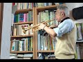 Ave Maria # music #trumpet
