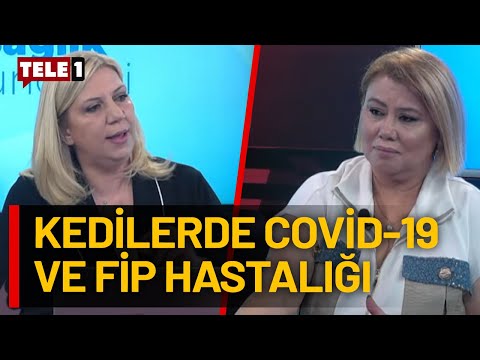 Evcil hayvanlarda oluşan en riskli hastalıklar neler? | SAĞLIK GÜNDEMİ (13 NİSAN 2024)