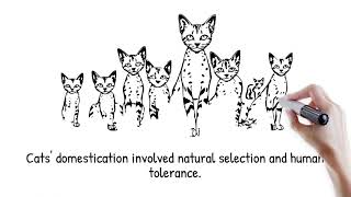 The Untold Origin of Cats 🐾 From Wild Hunters to Our Homes | Part 1