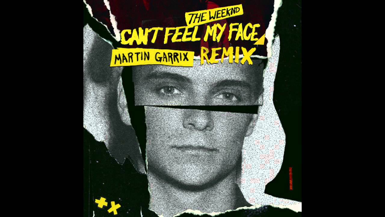 Can T Feel My Face Martin Garrix