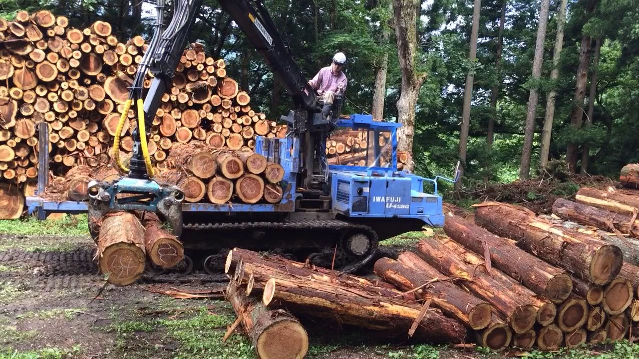 Forestry workers in japan miyagi 宮城県 林業 はい積み＠鳴子