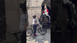 Heartwarming Moment Between King’s Horse and A Tourist