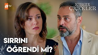 Sedat, Banu'nun sırrının öğrendi | Kırgın Çiçekler