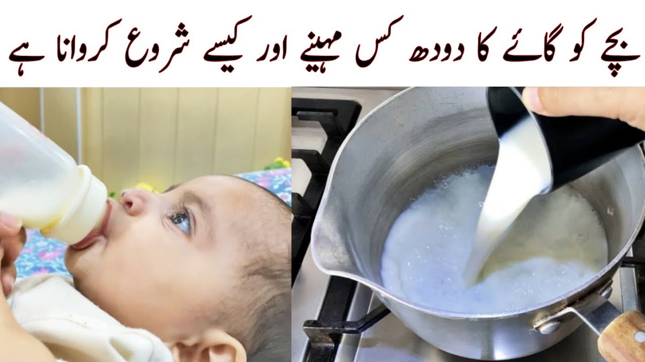 in-which-age-we-can-give-cow-milk-to-baby-method-to-give-cow-milk-to