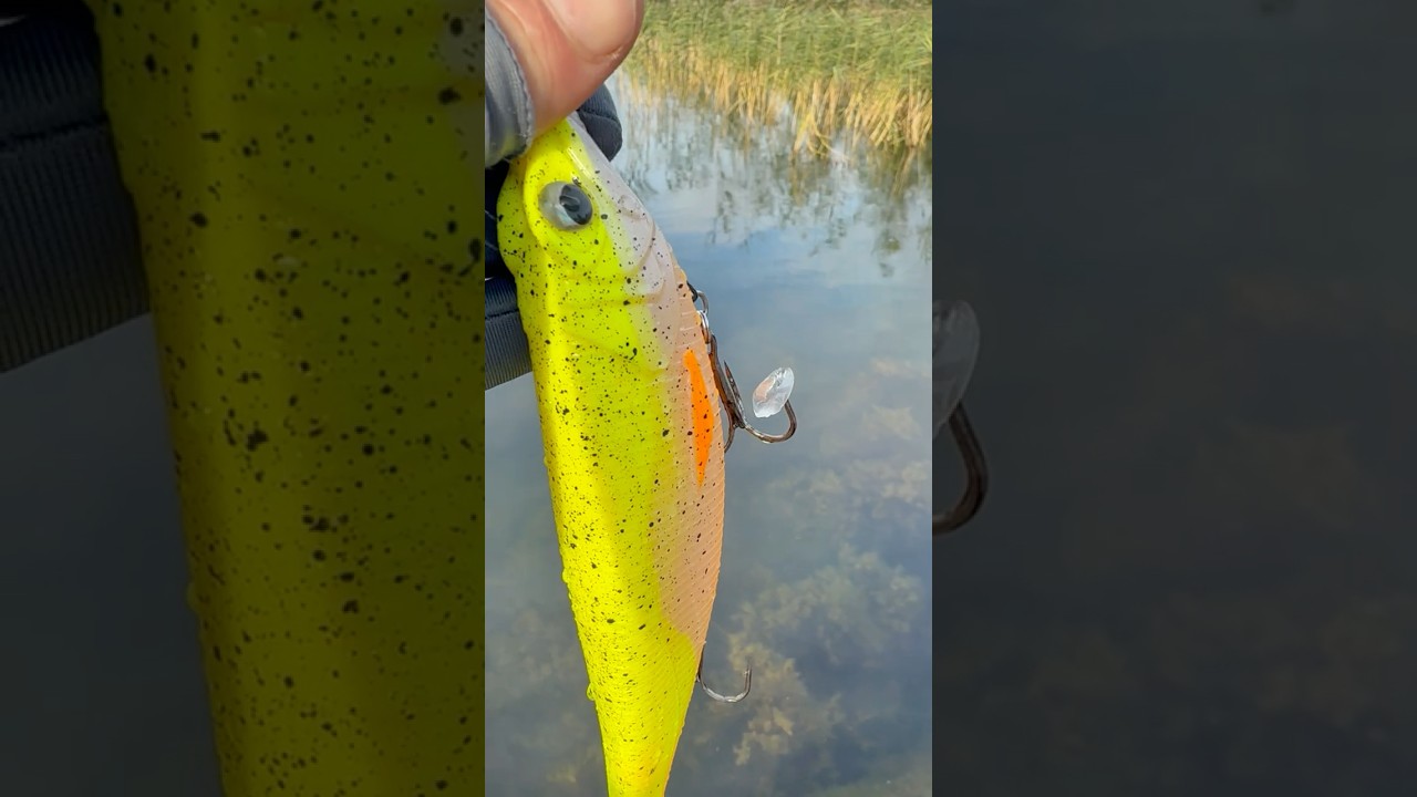 Биг бейт на щуку 