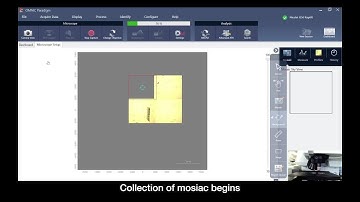 OMNIC Paradigm: Find your samples fast