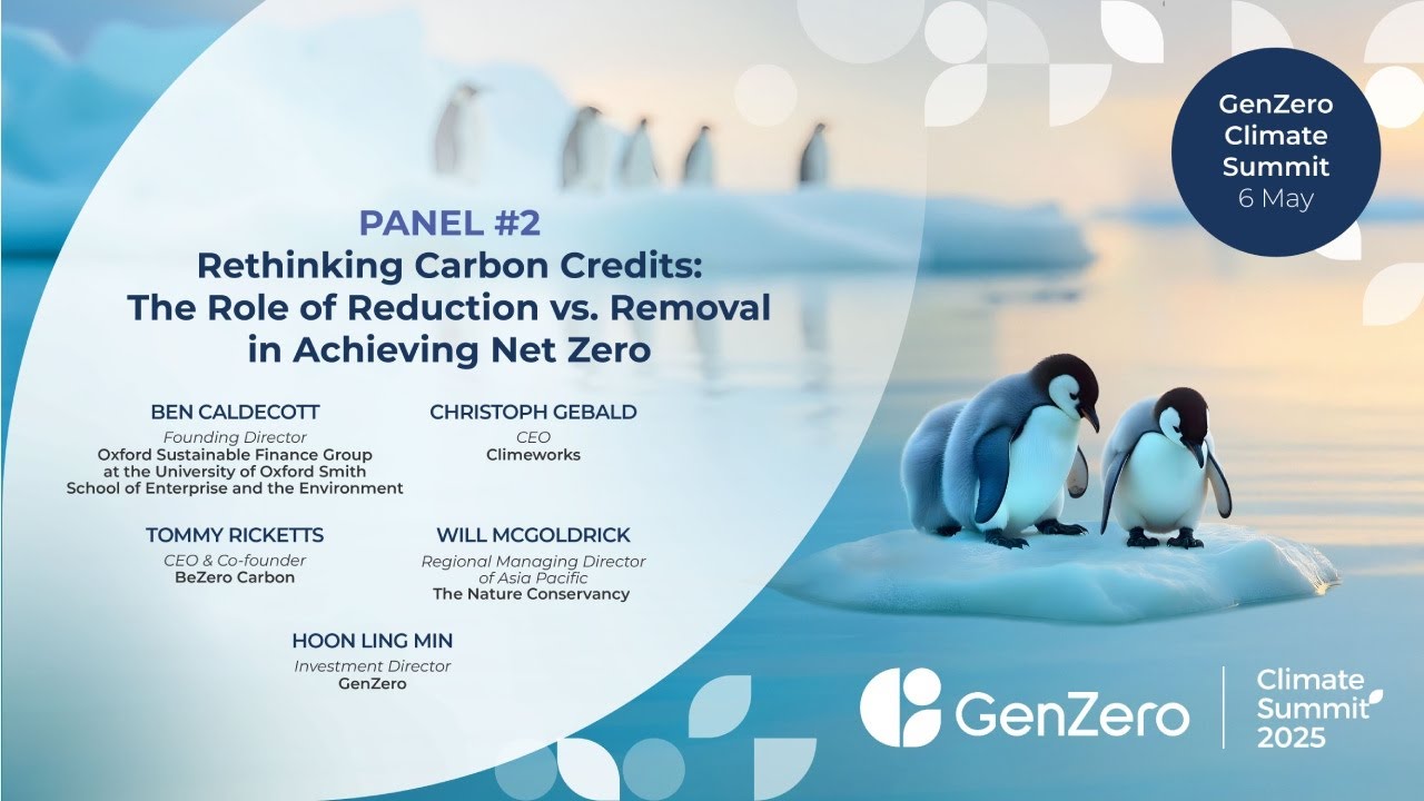 Rethinking Carbon Credits: The Role of Reduction vs. Removal in ...