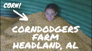 Video Tour of CornDodgers Farm in Headland, Alabama