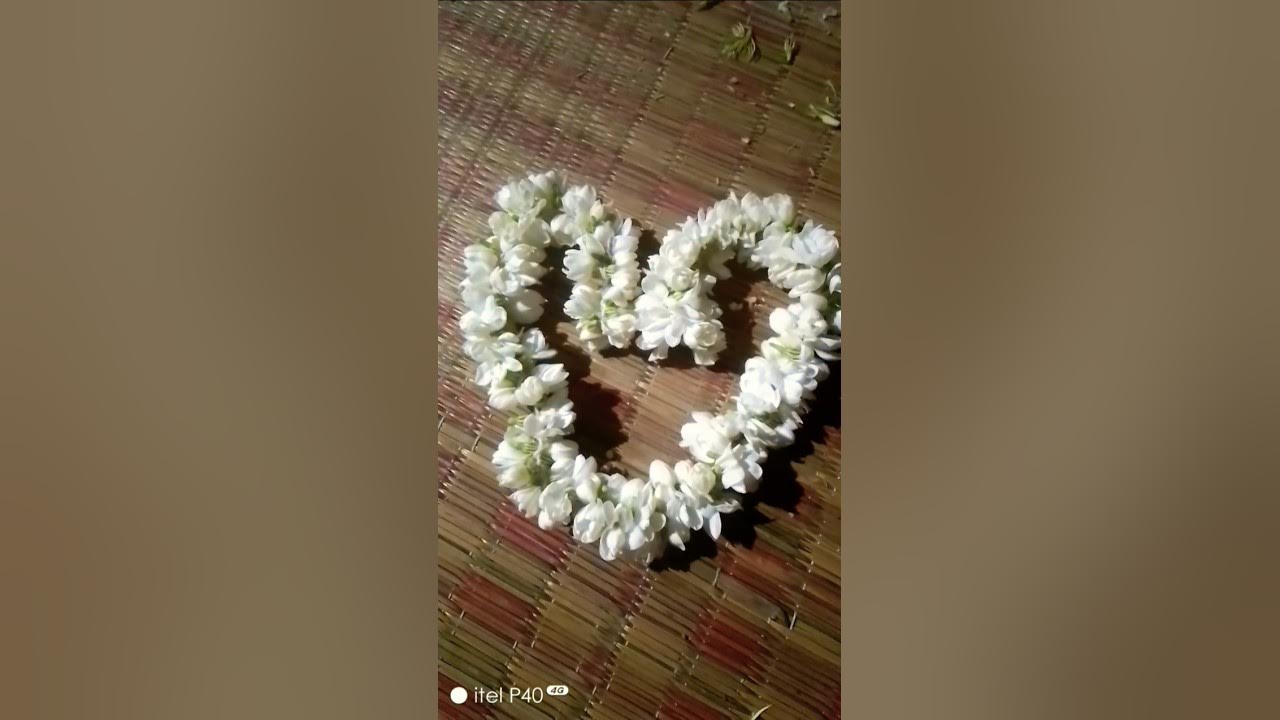 mullai poo, malligai poo💮#shortvideo#flowers#song mullai poo, malligai poo💮#shortvideo#flowers#song