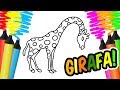 Como Desenhar e Colorir uma Girafa, Bolo e Brinquedos de praia – Pintar e Aprender para Crianças