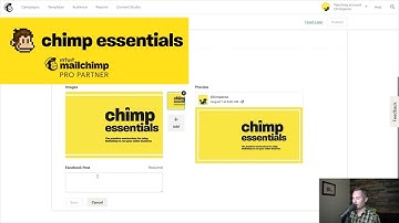 Mailchimp | social media posts Paul Jarvis at Chimp Essentials