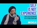 Mooji - SELF IS NOT Experience - Invitation To Freedom (Beautiful)