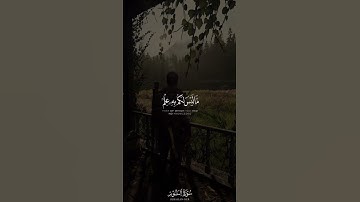 وَتَحسَبونَهُ هَيِّنًا وَهُوَ عِندَ اللَّهِ عَظيمٌ | القارئ أحمد خضر | سورة النور | قرآن كريم
