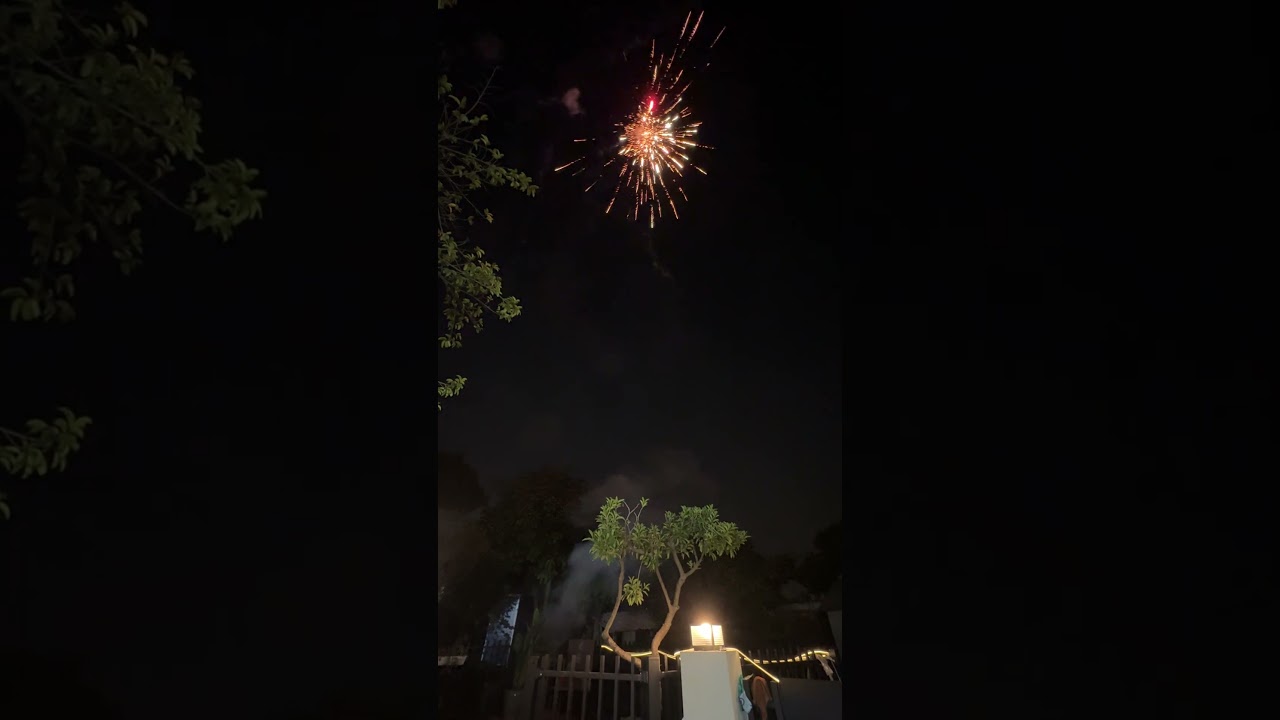 С китайским Новым годом