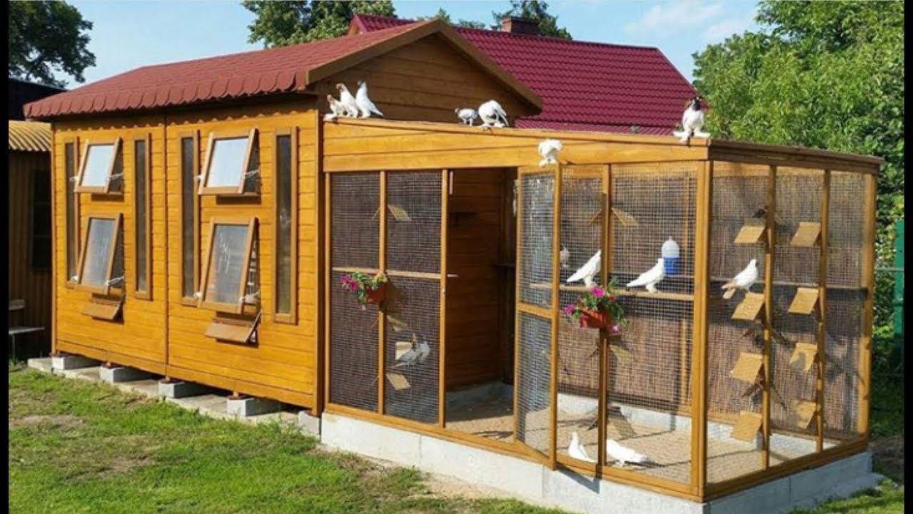 Best modern pigeon breeding cage & pigeon breeds coop 100 YouTube