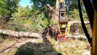 Cat 305 with FMX36 Mulching