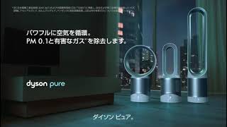 ダイソン 空気清浄機能付 ファンヒーター Dyson Pure Hot + Cool Link HP03IB アイアン/ブルー