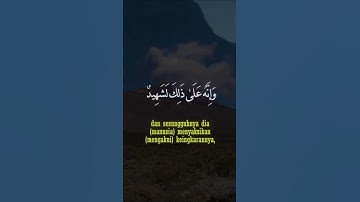 سورة العاديات حالات واتس اب دينية قصيرة مؤثرة قرآن كريم تلاوة خاشعة انستا وفيسبوك