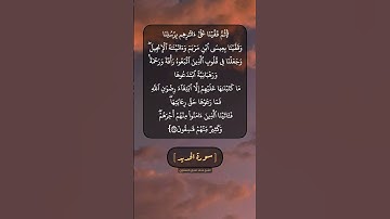 سورة الحديد الآية ٢٧ بصوت الشيخ محمد صديق المنشاوي