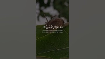 🌸إن المتقين في جنات وعيون🎙️المقرئ:محمد الوكيل 📖سورة الذاريات💫 |الآية {15}|