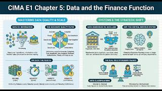 CIMA E1 Chapter 5 : Data and the Finance Function