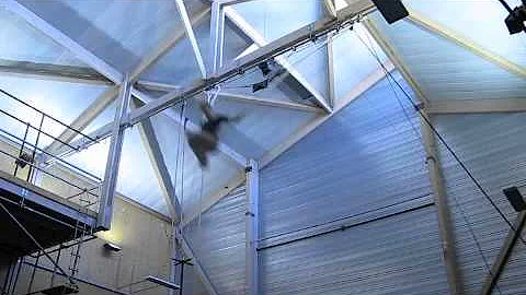 Aerial Reel- Heidi Holmes