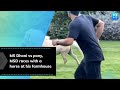 MS Dhoni vs pony, MSD races with a horse at his farmhouse