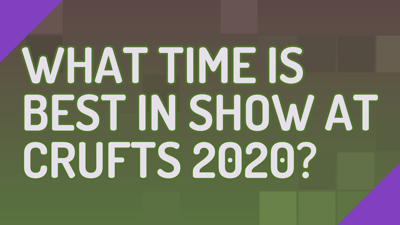 What Time Is Best in Show at Crufts 2020? YouTube
