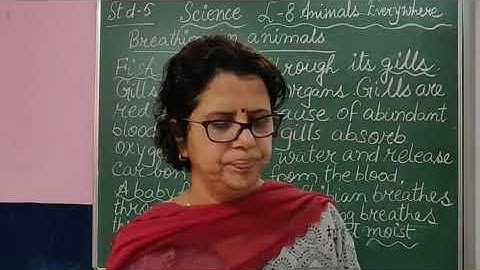 V Science Chapter 8 Animals Everywhere Part 3