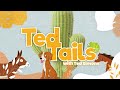 Ted Tails features a cute kitten, Jackie from the #ArizonaHumaneSociety; Seniors receive discount!