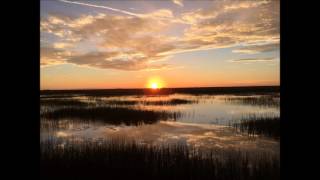 Alba Weinman -  Relaxation and Visualization Exercise