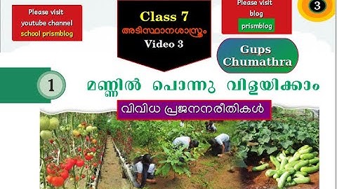 Class 7 Basic science unit 1 mannil ponnu vilayikkam video 3