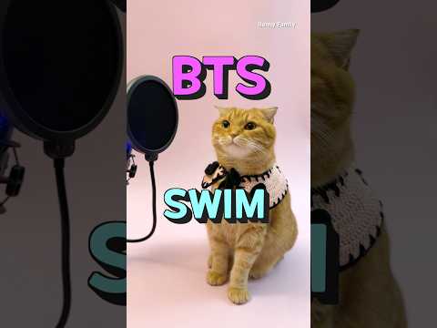 베니의 ‘SWIM’ - BTS (방탄소년단) cover by Benny the Cat #shorts #bts
